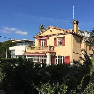 Tricia Cannes